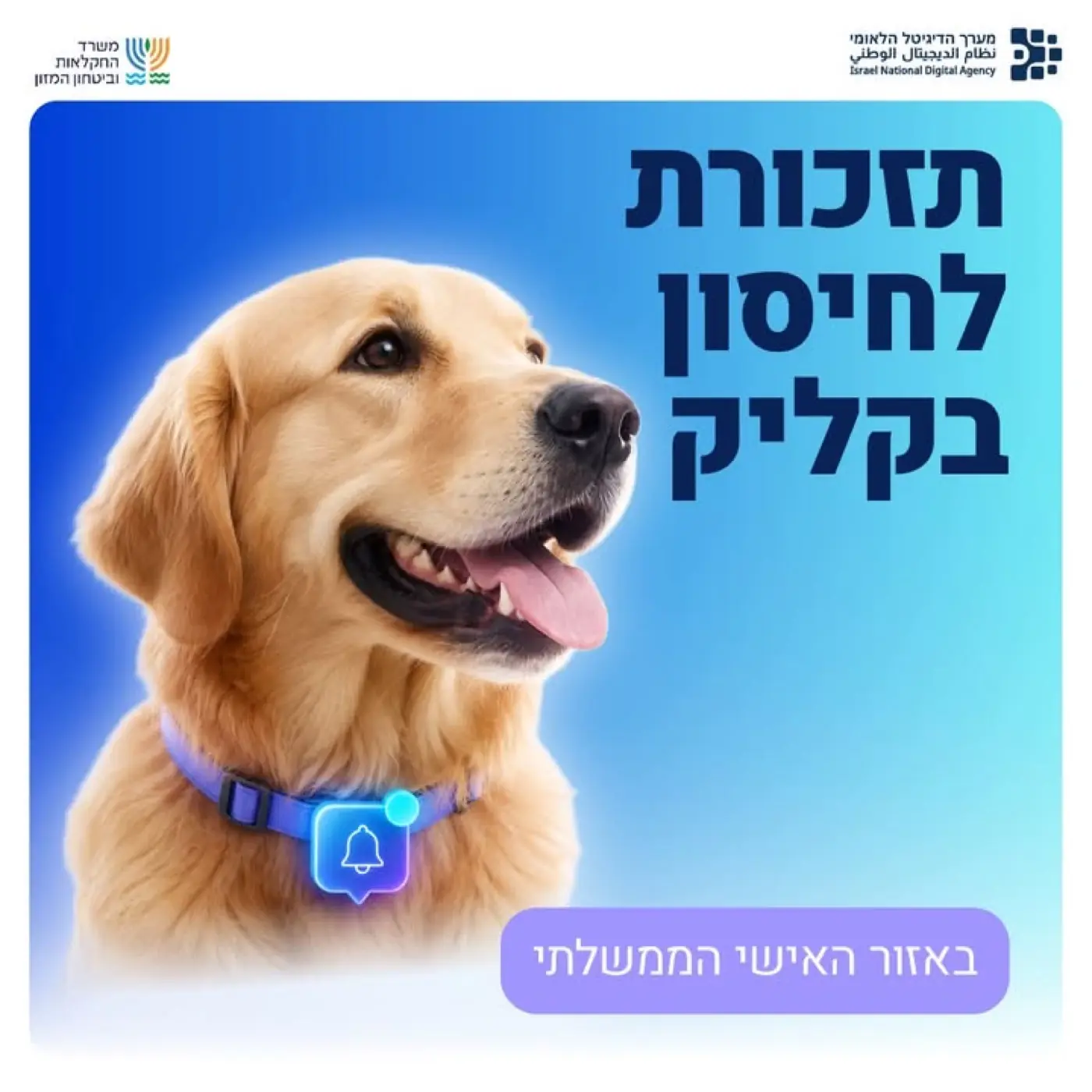 מערך הדיגיטל הלאומי — ייעול תהליכי הפקת וידאו וניהול ניו-מדיה עבור הגוף שמוביל את החדשנות הממשלתית.
