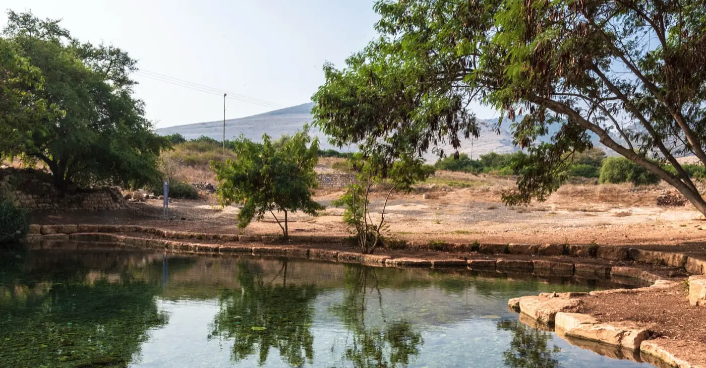 חוויות ניר דוד — איך סייענו לאחת מאטרקציות התיירות המוכרות בישראל לעשות את הצעד לעבר מכירת כרטיסים באונליין, יד ביד עם צוות ההנהלה.