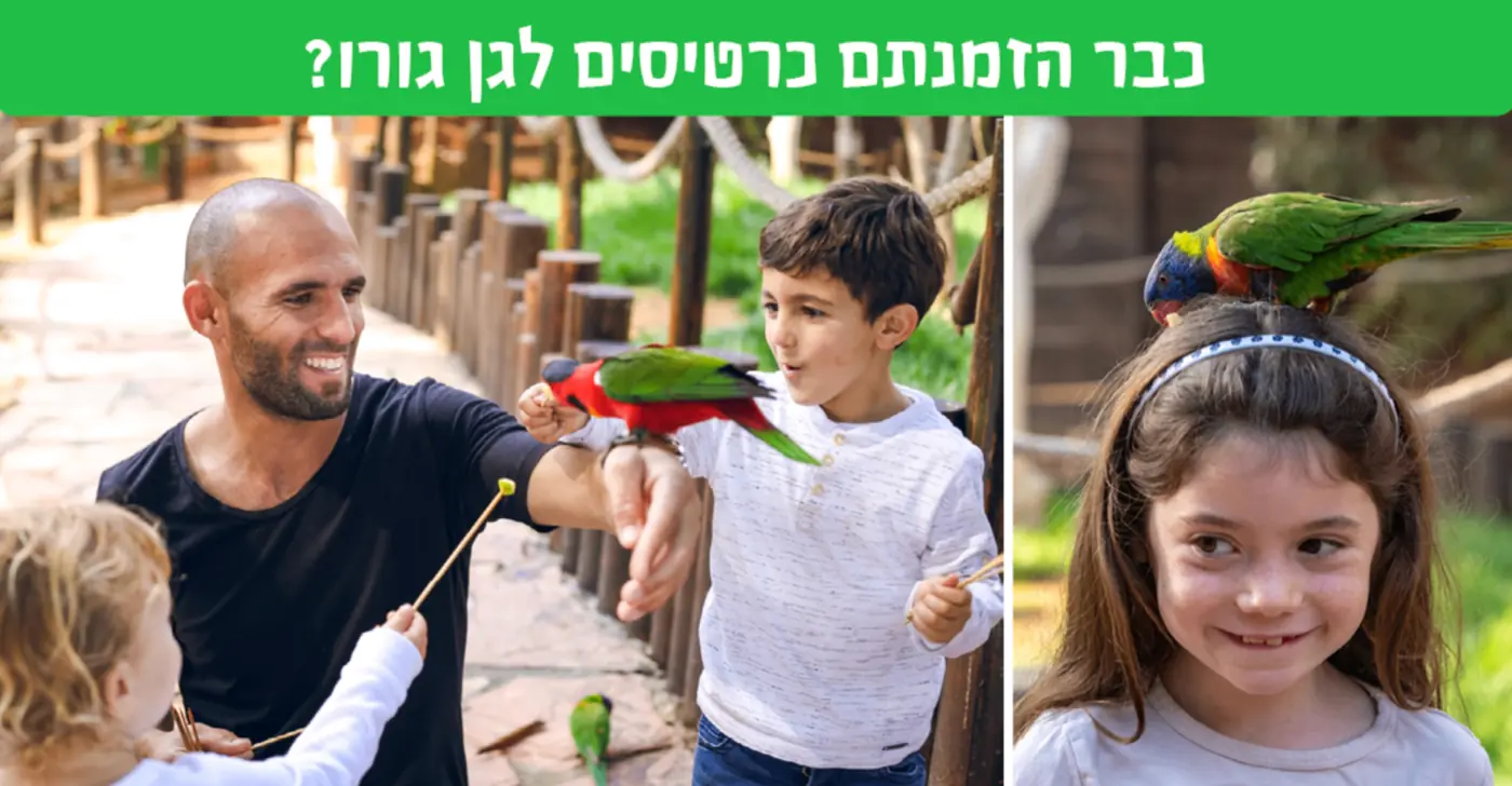 חוויות ניר דוד — איך סייענו לאחת מאטרקציות התיירות המוכרות בישראל לעשות את הצעד לעבר מכירת כרטיסים באונליין, יד ביד עם צוות ההנהלה.