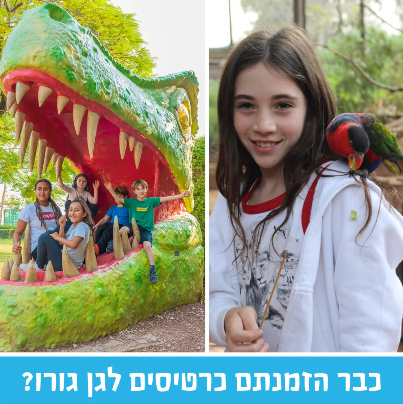 חוויות ניר דוד — איך סייענו לאחת מאטרקציות התיירות המוכרות בישראל לעשות את הצעד לעבר מכירת כרטיסים באונליין, יד ביד עם צוות ההנהלה.