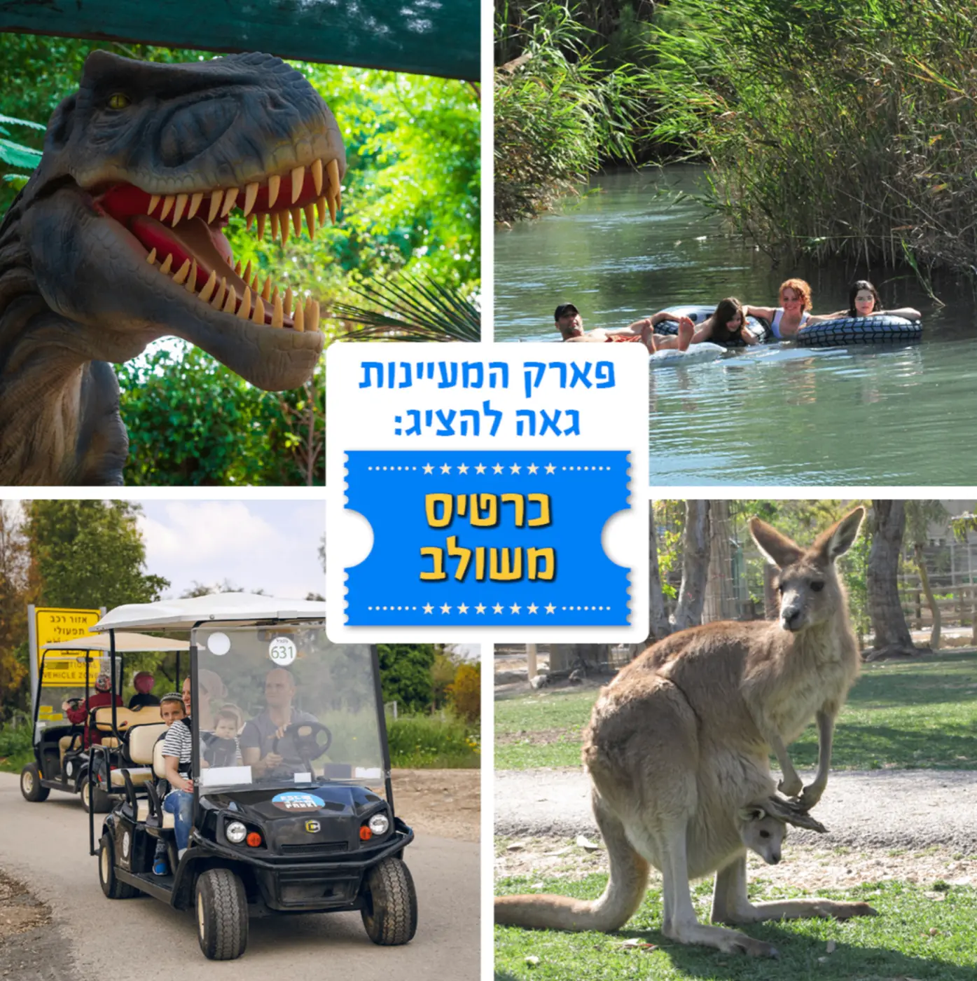 חוויות ניר דוד — איך סייענו לאחת מאטרקציות התיירות המוכרות בישראל לעשות את הצעד לעבר מכירת כרטיסים באונליין, יד ביד עם צוות ההנהלה.