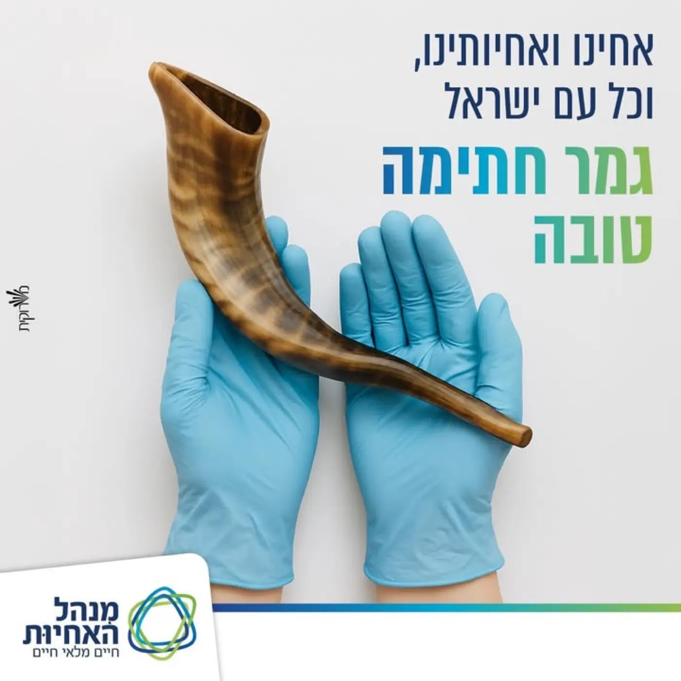 בית הספר לאחיות וולפסון — בניית משפך שיווקי חכם מבוסס אוטומציה לסינון מועמדים למסלול הסבת אקדמאים.