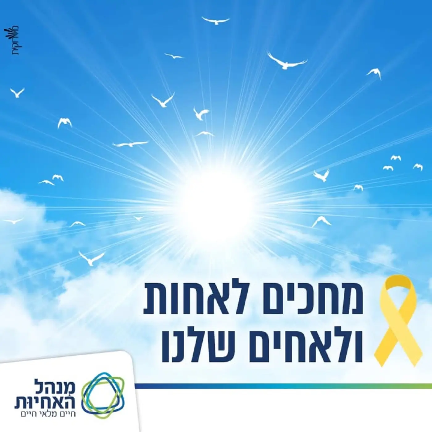 בית הספר לאחיות וולפסון — בניית משפך שיווקי חכם מבוסס אוטומציה לסינון מועמדים למסלול הסבת אקדמאים.