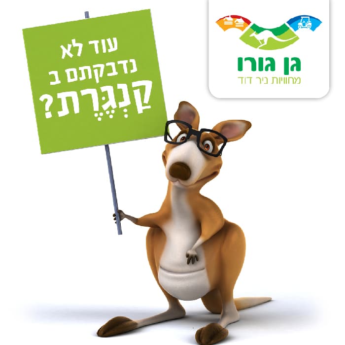 הכרטיס המשולהב בניר דוד